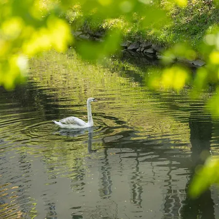 Klagenfurt Frank No3 - Free Parking, Smart-tv & Self Check-in Apartman