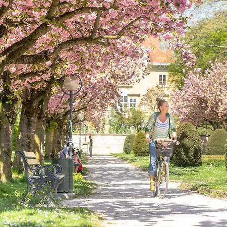 Klagenfurt Frank No3 - Free Parking, Smart-tv & Self Check-in Apartman