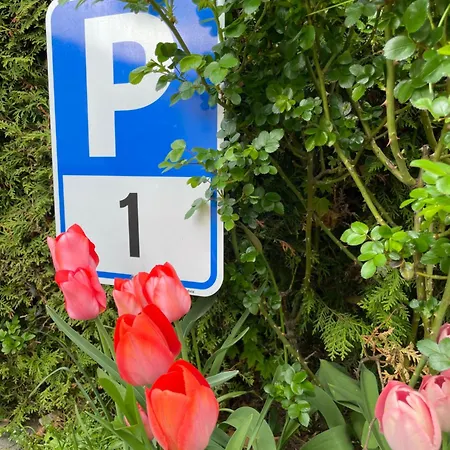 Klagenfurt Frank No3 - With Free Parking, Smart-tv & Self Check-in Daire