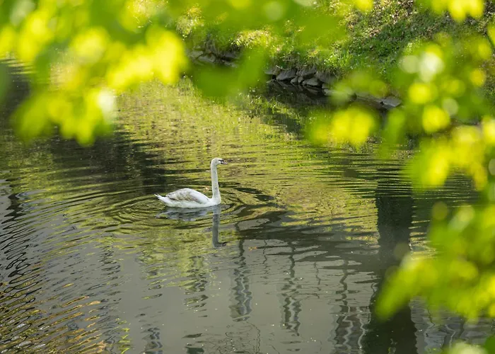 Klagenfurt Frank No3 - Free Parking, Smart-tv & Self Check-in شقة